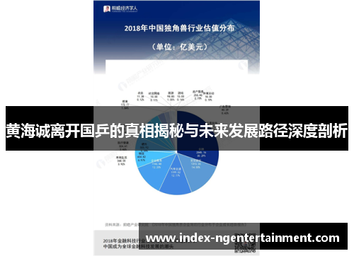 黄海诚离开国乒的真相揭秘与未来发展路径深度剖析