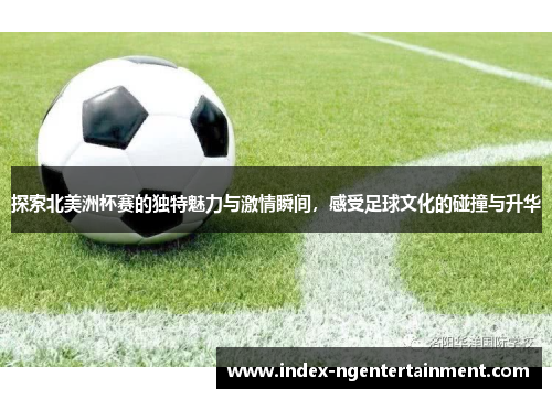 探索北美洲杯赛的独特魅力与激情瞬间，感受足球文化的碰撞与升华